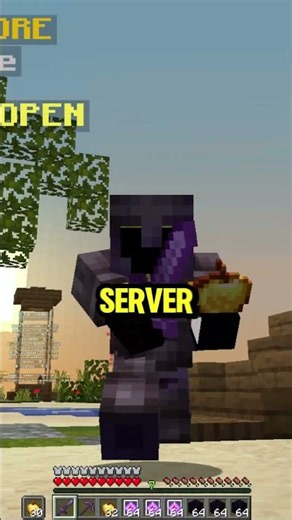 I FOUND THE BEST Public PVP SMP