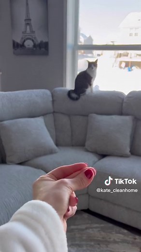 Best Way to Clean Your Sofa - Effective Tips and Hacks!