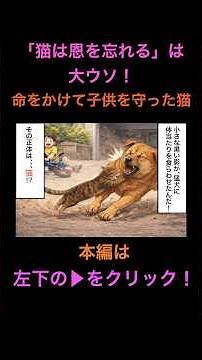 【猫は恩を忘れるは大ウソ】命をかけて子供を救った猫の実話(猫の恩返し)