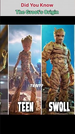 Did you know The Real Origin of Groot #Marvel #Groot #GuardiansOfTheGalaxy #MCU #GrootEvolution