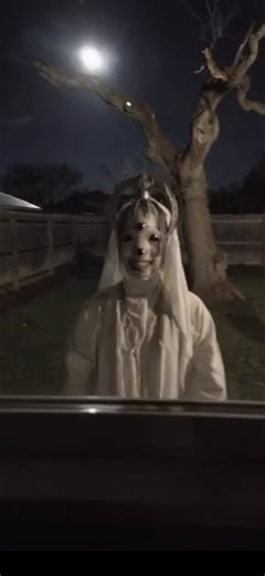 My New Neighbor: Fun Times and Wild Moments