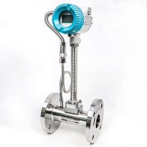 [Hot Item] DN50 Digital RS485 Modbus Flange Connection Boiler Steam Flow Meter