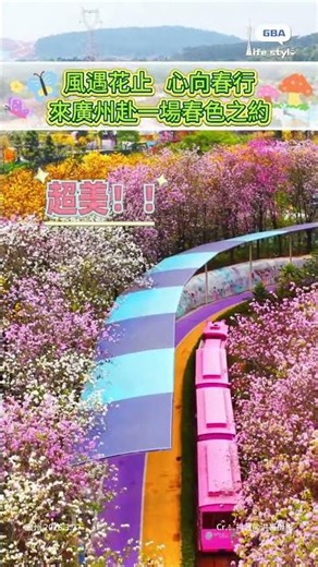 風遇花止，心向春行，來廣州赴一場春色之約#春天#花海#治癒系風景