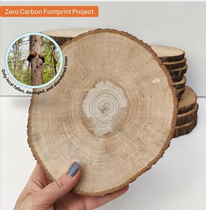 Hardwood Slices Rustic Wood Discs for Pyrography Art - Etsy UK