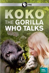 Koko: The Gorilla Who Talks to People - Movie