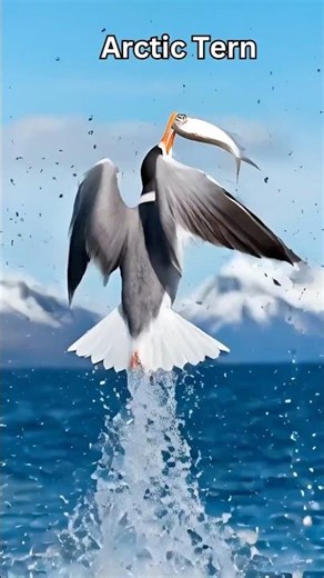 Different Wings, Different Weapons: How Birds Catch Fish