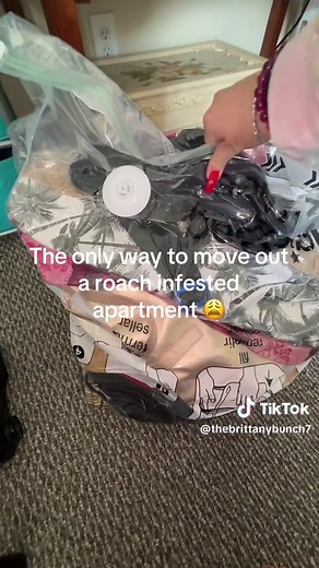 Effective Strategies for Moving Out of a Roach Infested Apartment