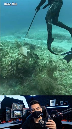 صيض السمك في أعماء الماء #fishing #shortvideo