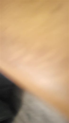 all color hives drawn bee swarm! | bee