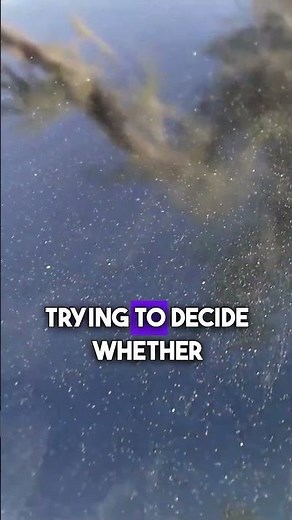 What's REALLY Happening to My 1995 Corvette C4 Project Car