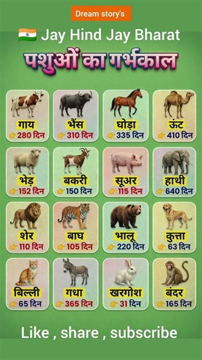 पशुओं का गर्भकाल | #AnimalFacts #Wildlife #Nature #Educational #AmazingFacts #gk #GestationPeriod
