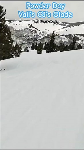 Vail- CJ’s Glade-Powder Day- Presented by #trailscoutmedia #powderday #powderskiing #vail #skiing