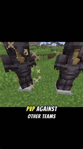 The Best Minecraft Vanilla SMP. ip: boovarbsmp.net