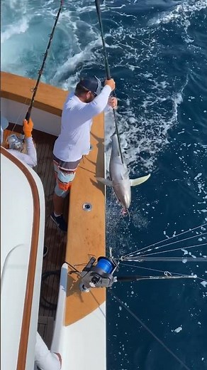 How to use the worlds best outrigger clips for tuna fishing #fishing #saltwaterfishing #trolling