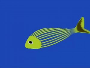 Explore The Shore: In The Ocean (Juno Baby)