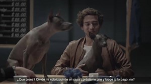 Descarga gratis BBVA SEND y envía dinero a los contactos de tu celular, ¡Sin comisiones! | BBVA