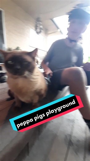 happy birthday 🎂 @schrodershredder at peppa pigs playground #theboiz #OscarsAtHome #mtb #chur #16inches #mini