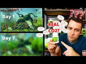 I TRIED CO2 TABLETS FOR 7 DAYS AND THIS IS WHAT HAPPENED...