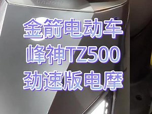 金箭电动车tz500配置