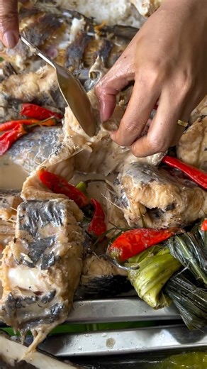 Making Perfect Boiled Fish with a Simple & Savory Soup