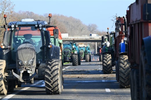 'Stop the slaughter': French farmers block roads over cow disease cull