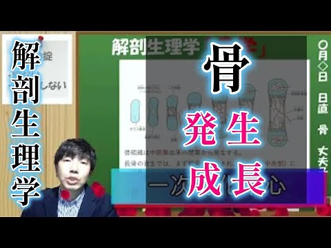 【骨の発生と成長】 解剖学 形態機能学