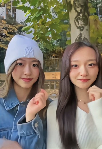 トラプロジェクトの冬のダンスパフォーマンス