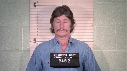 Mr. Majestyk (1974) Starring Charles Bronson | Full movie