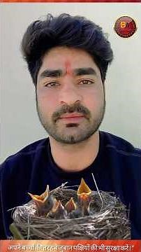 Beware! The mute birds are being cut by the kite string." #MakarSankranti #SaveBirds #Bezubaan #v...