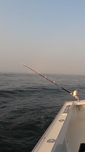 Massive bluefin tuna bite! #bluefintuna #bluefintunafishing #tunafishing #biggamefishing #offshorefishing #deepseafishing #fishing #fishinglife #fishingrod #fishingtips #bigfish #saltwaterfishing #fishtoks #fishingtok