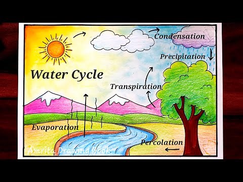 Water Cycle Drawing easy /Water Cycle Diagram /Water Cycle project Drawing /How to Draw water cycle