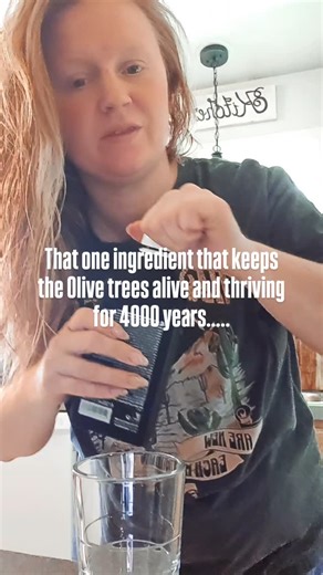 Meet the ancient secret behind the olive tree’s strength 🌿✨ — Hydroxytyrosol. This powerful antioxidant is the reason these trees have thrived for over 4000 years… and it just might be the boost your body’s been waiting for. 💚 Put WEBSITE in the comment to learn more. #OlivePower #Hydroxytyrosol #NatureKnowsBest" | Amber Harbin