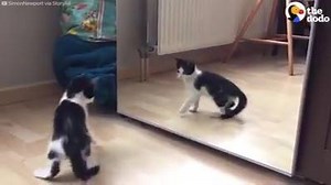 1.4K views · 11 reactions | Funny | Daily Stories | Facebook