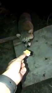 13M views · 135K reactions | Squad Rolling DEEP  | All Def | Facebook