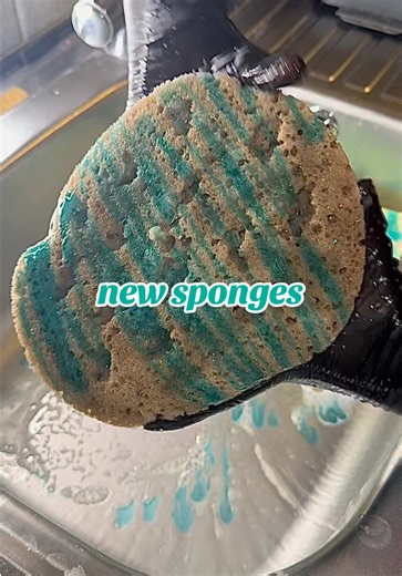Satisfying Sponge Squeeze Video for ASMR Lovers