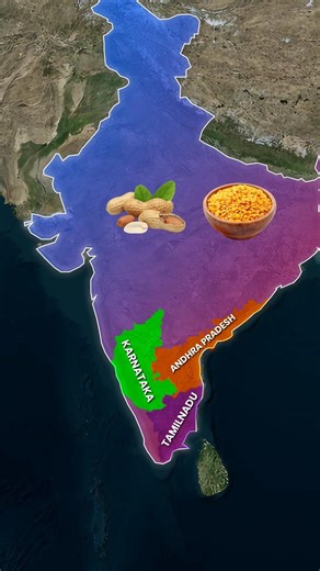 8 Types of Soil Found in India #shorts #trendingshorts #geographyfacts #1millionviews