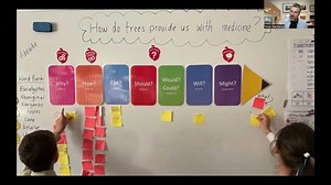 Newsletter 5 - Inquiry Mindset Questions Edition | Trevor MacKenzie