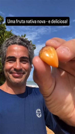 Ricardo Cardim | Por que não fomos apresentados a maior diversidade de plantas nativas do mundo, a nossa? Não conhecemos quase nada dos sabores dessa... | Instagram