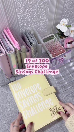 19 Envelope Savings Challenge: Organize Your Cash Effectively