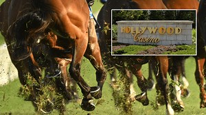 1 dead following racing accident at Hollywood Casino, 6 horses involved