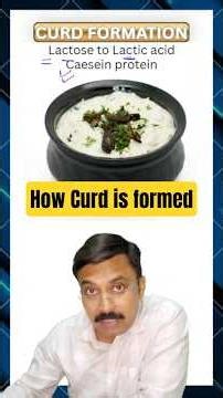 How Curd is formed | Biology behind Curd Formation | BioMed #biology #neet