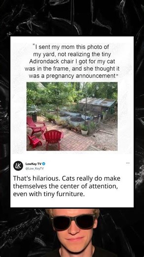 Cat’s Chair Causes Hilarious Confusion
