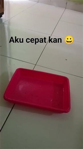 kecepatan cahaya 😅🤭