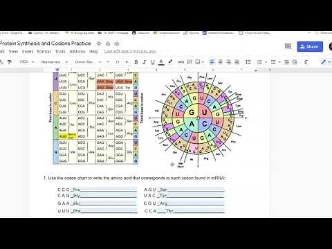 Biology - Protein Synthesis Practice WS 4/20/21