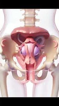 How Fertilizations Starts: Sperm Meets Egg | Human Reproduction Animation