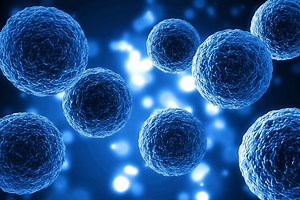 The Role of Senescent Cells in Disease