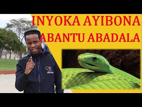 INYOKA AYIBONA ABANTU ABADALA