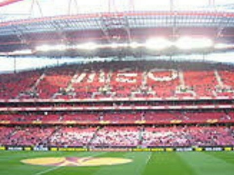 BENFICA TV - EM DIRETO