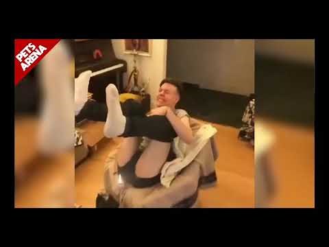 Guy accidentally catches cat on fire when he lights his fart on fire,lol hilarious