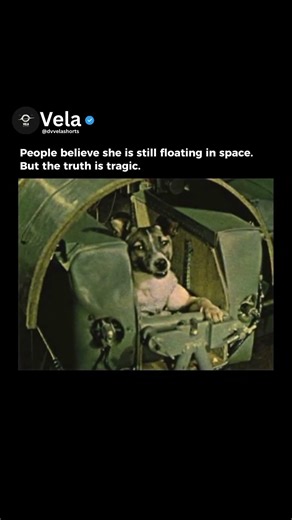 The Truth About Laika the Space Dog
